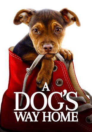 A Dog's Way Home