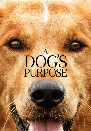 A Dog's Purpose