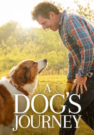 A Dog's Journey