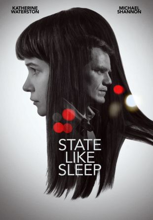 State Like Sleep