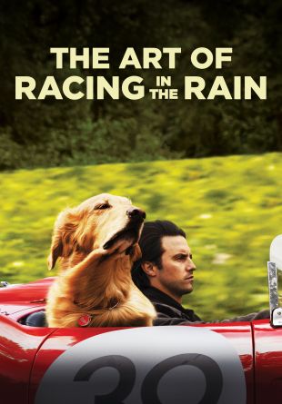 The Art of Racing in the Rain