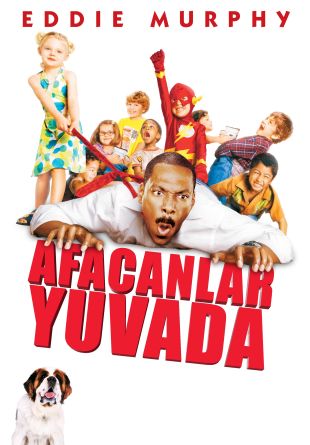 Daddy Day Camp