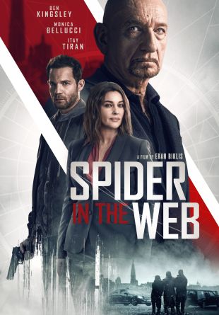 Spider in the Web