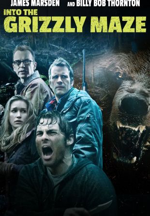 Into the Grizzly Maze