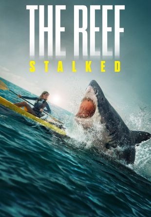 The Reef: Stalked