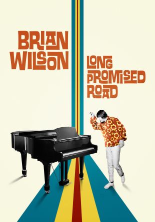 Brian Wilson: Long Promised Road