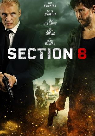 Section 8