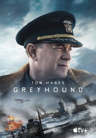 Greyhound