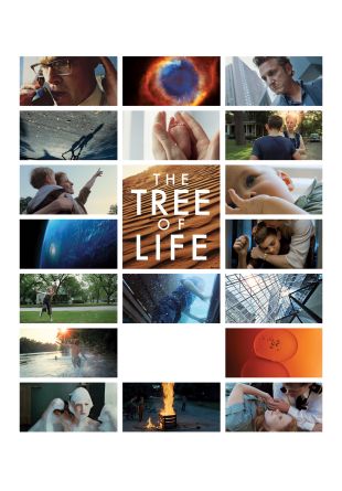 The Tree of Life
