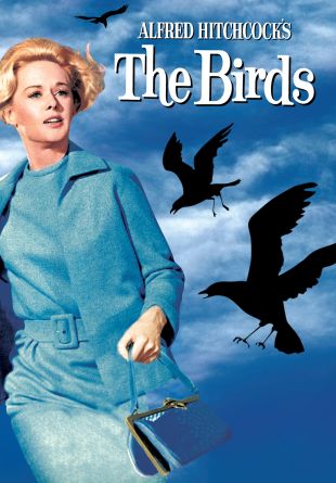 The Birds
