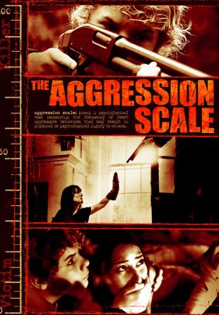 The Aggression Scale