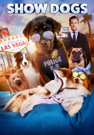 Show Dogs