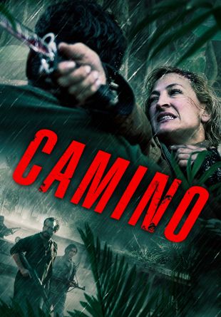 Camino