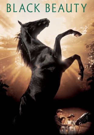 Black Beauty