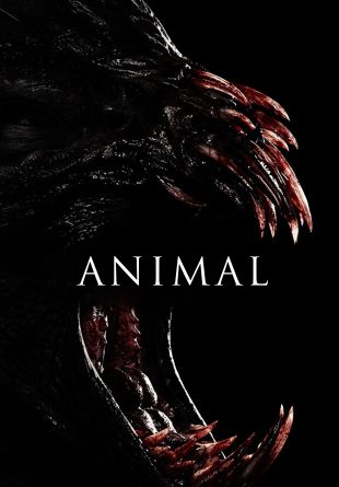 Animal