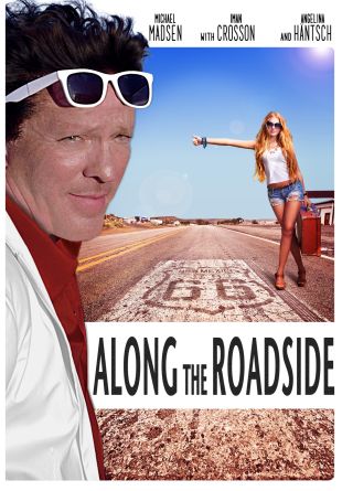 Along the Roadside