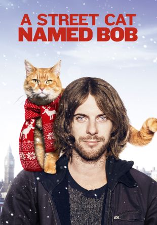 A Street Cat Named Bob