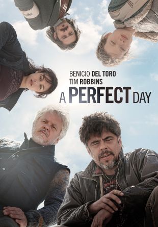A Perfect Day