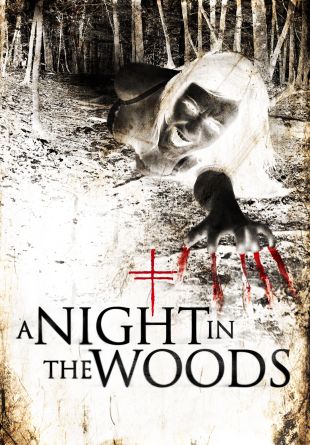 A Night in the Woods