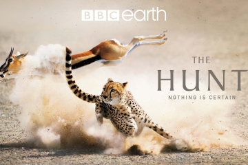 The Hunt BBC