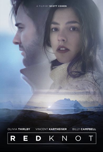 Red Knot Fragman