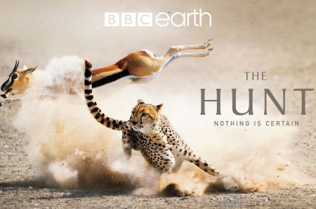 The Hunt BBC