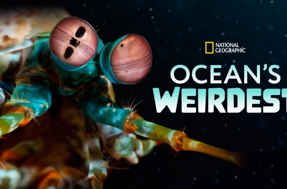 Ocean's Weirdest