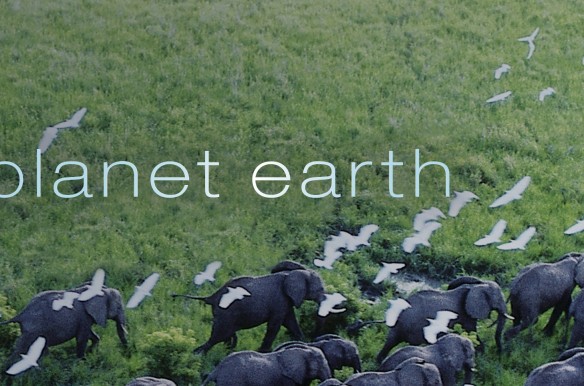Planet Earth