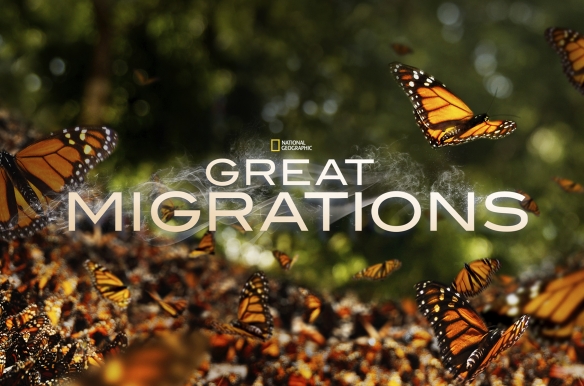 Great Migrations