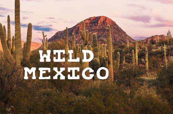 Wild Mexico