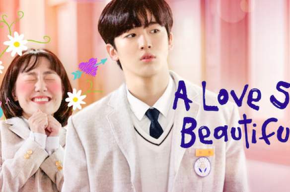 A Love So Beautiful