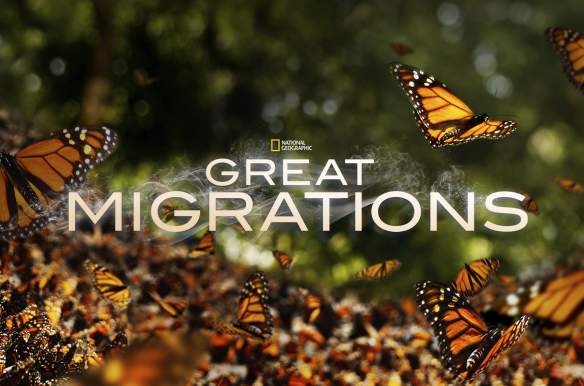 Great Migrations