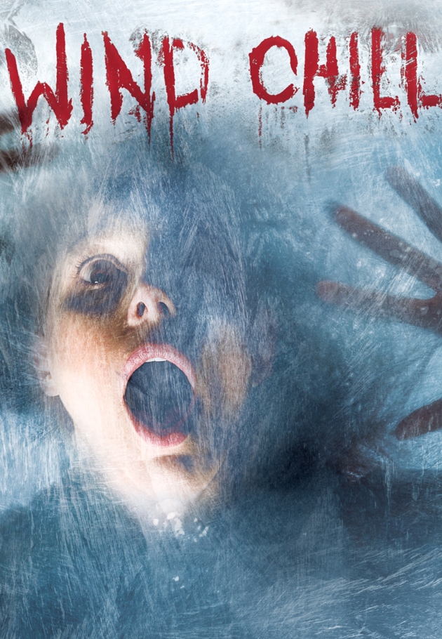 Wind Chill 2007 izle