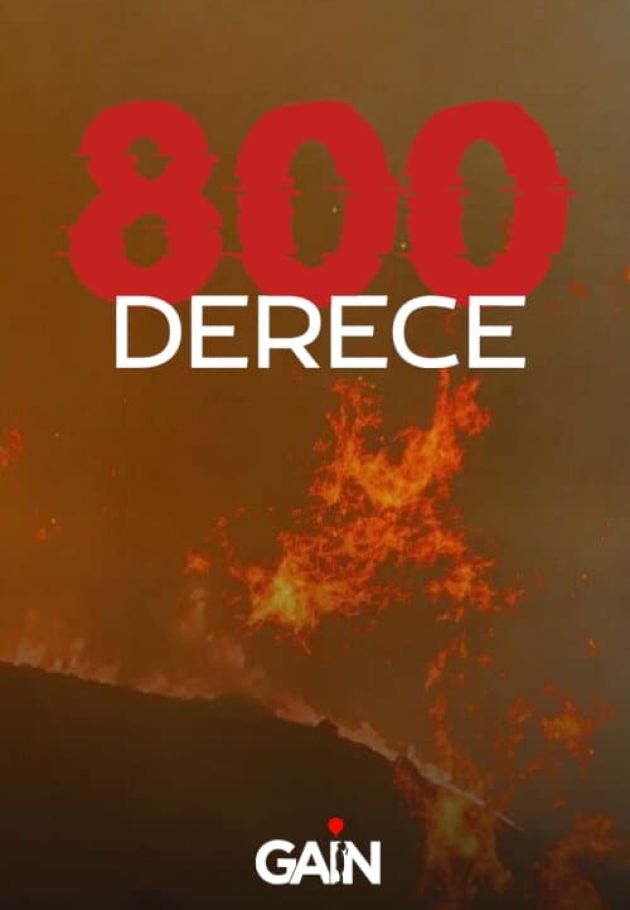 800 Derece