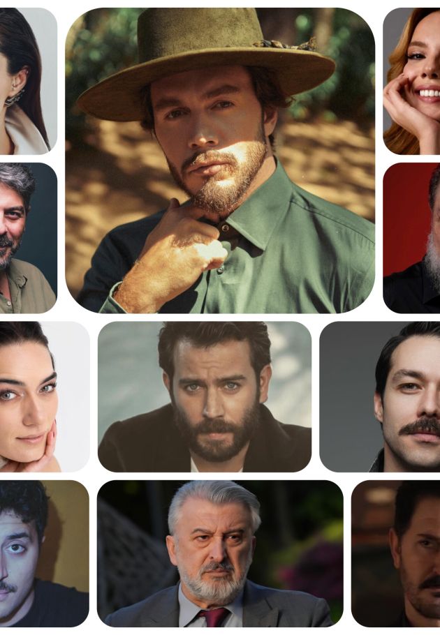 Memleket Tamircisi