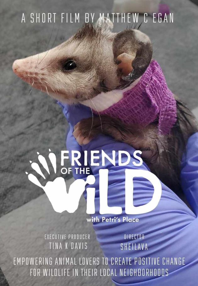 Friends of the Wild