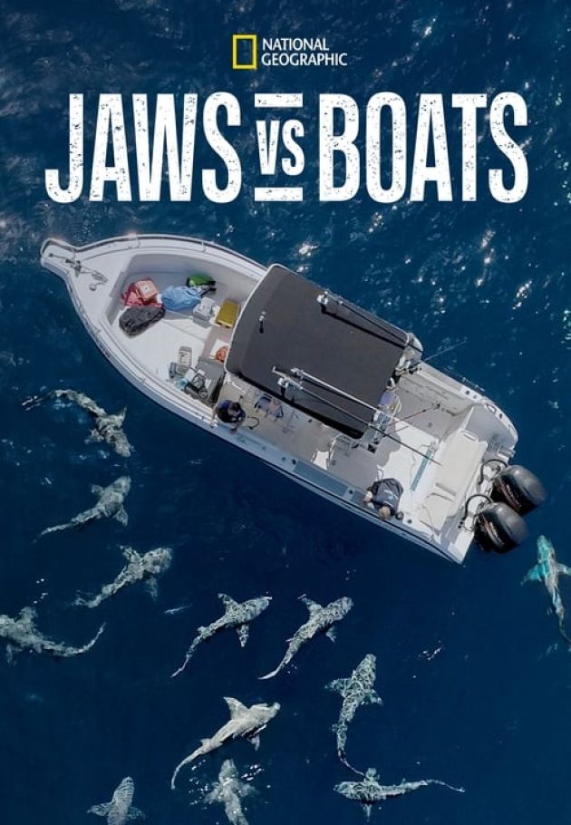 Need A Bigger Boat