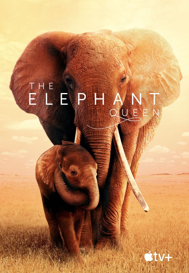 The Elephant Queen