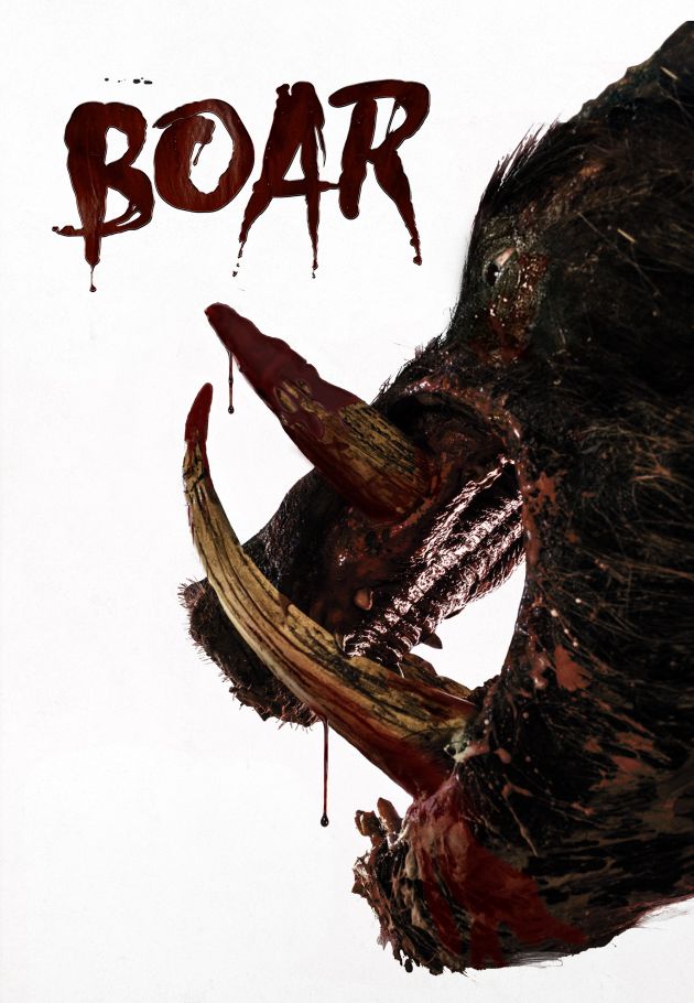 Boar