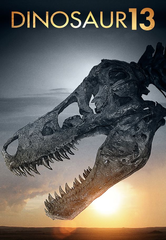Dinosaur 13