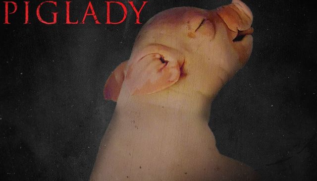 Piglady