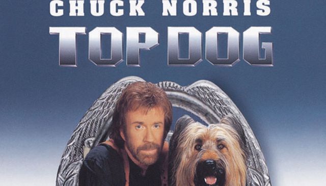 Top Dog