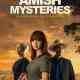 Sugarcreek Amish Mysteries