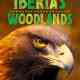 Iberia's Woodlands- Life on the Edge