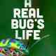 A Real Bug's Life