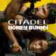 Citadel: Honey Bunny