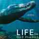 Life on Our Planet