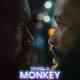 To Kill a Monkey