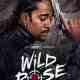 Wild Rose