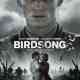 Birdsong
